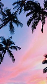 Image result for Wallpaper. Summer iPhone HD