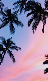 Image result for iPhone 8 Wallpaper Summer