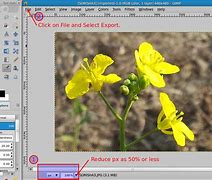 Image result for Hoiiw to Shrink Size of Image Dalle 2