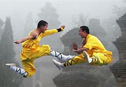 Image result for Kung Fu Competition vs Other Styles