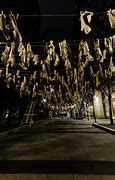 Image result for Clothesline Canopy