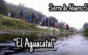 Image result for aguacayal