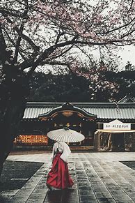 Image result for Japan Culture Aesthetic
