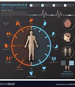 Image result for Body Biological Clock