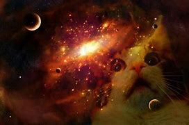 Image result for Cat Universe Wallpaper