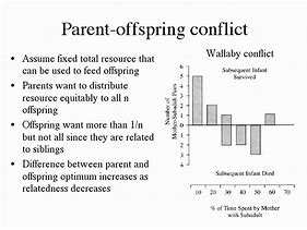 Image result for Parent-Offspring Conflict