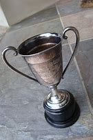 Image result for Horse Trophy Cup