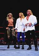 Image result for WWE The Brood Members