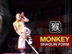 Image result for Monkey Style Kung Fu