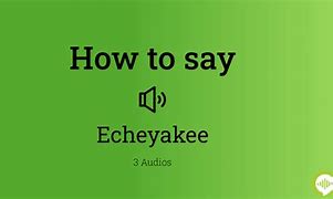 Image result for Echeyakee