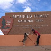 Image result for Petrified Face