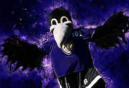 Image result for Ravens Mascot