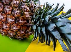 Image result for iPhone 6 Pineapple Case