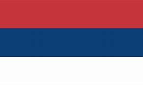 Image result for Serbian Flag. No Sighn