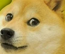 Image result for Doge Meme Background