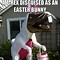Image result for Hilarious Easter Memes