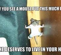 Image result for Apple Mouse Meme