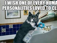 Image result for How to Wash Cat Meme