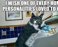 Image result for Cat Memes Clean