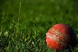 Image result for Cricket