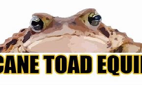 Image result for Cane Toad Meme