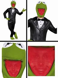 Image result for Cursed Kermit Costume