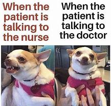 Image result for Doctor Nurse Meme