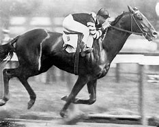 Image result for Fast Horse