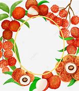 Image result for Pink Lychee Template Frame