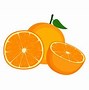Image result for Orange Fruit Vector