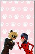 Image result for Funny Cat Noir Wallpapers