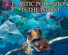 Image result for Ocean Pollution Memes