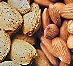 Image result for almendrate