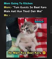 Image result for Cat Funny Hindi Memes