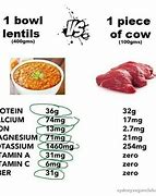 Image result for Plant-Based vs Meat-Based Diets