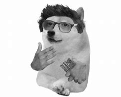 Image result for Doge Meme Glasses