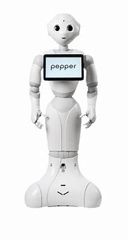 Image result for City Robot Pepper