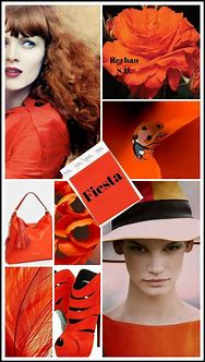 Image result for Color Year Make Model Template