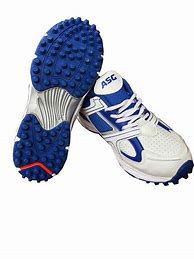 Image result for Blue Cricket Shoes