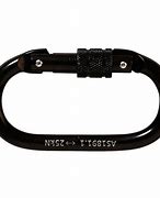 Image result for Industrial Carabiners