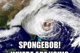 Image result for Funny Hurricane Pic
