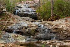 Image result for Moss Rock Pool Waterfall