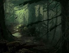 Image result for Dark Forest Illustration