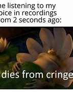 Image result for Funny Voice Memes