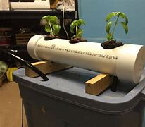 Image result for Hydroponics 4 Inch PVC Pipe
