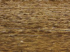 Image result for Wood Grain Texture Overlay