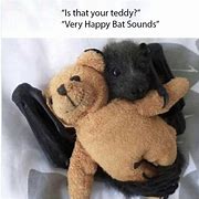 Image result for Baby Bat Meme