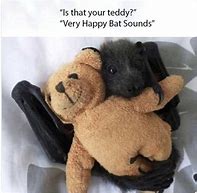 Image result for Wholesome Bat