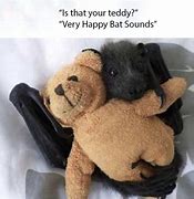 Image result for Fruit Bat Meme