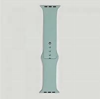 Image result for Tiffany Apple Watch Band